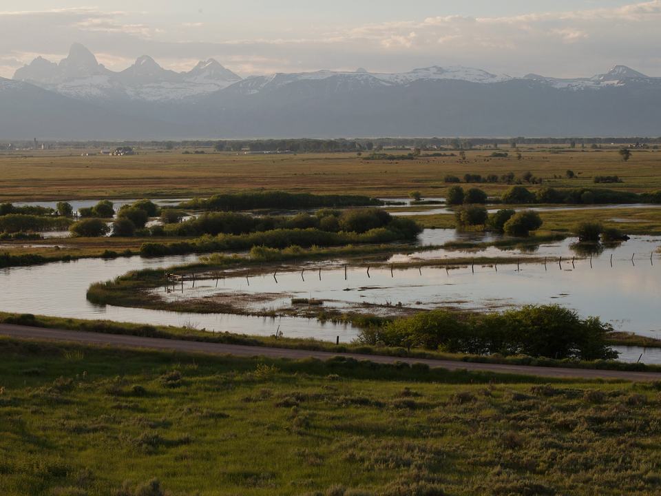 Summer wetlands in Teton Valley with the Teton Range behind